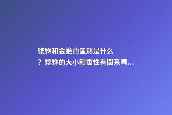 貔貅和金蟾的區別是什么？貔貅的大小和靈性有關系嗎？